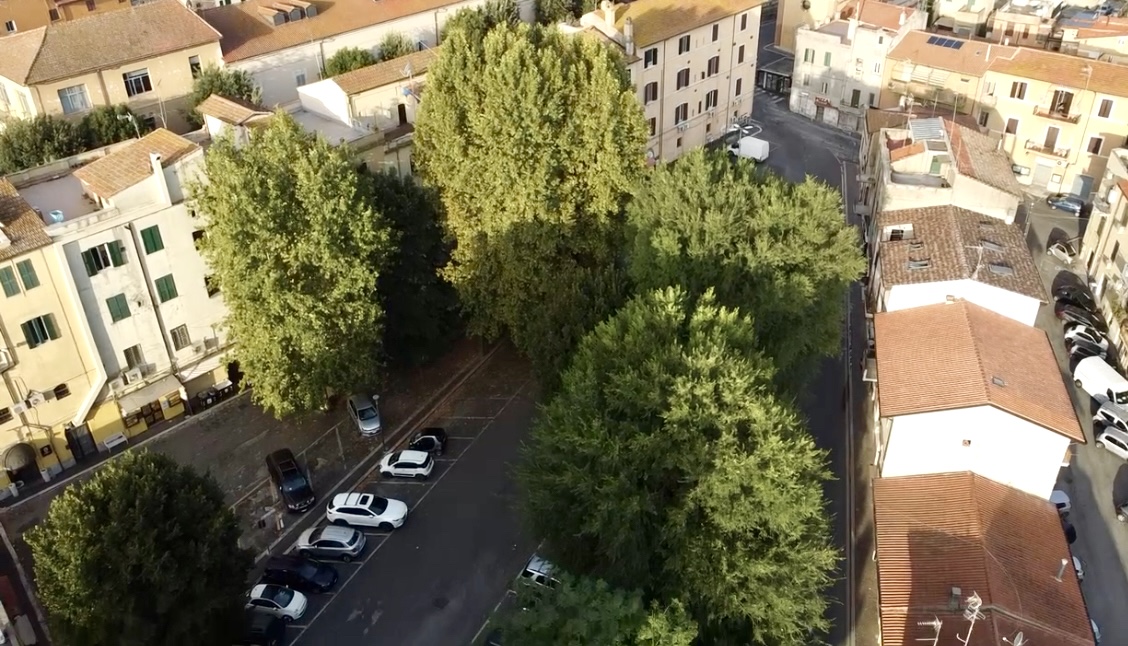 Vista aerea di Piazza della Libertà con le alberature storiche di Monterotondo